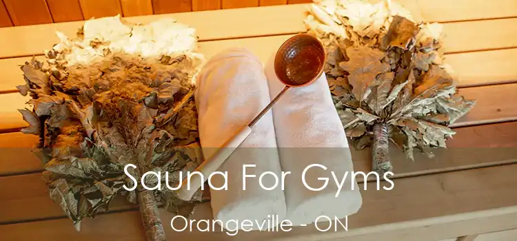  Sauna For Gyms Orangeville - ON