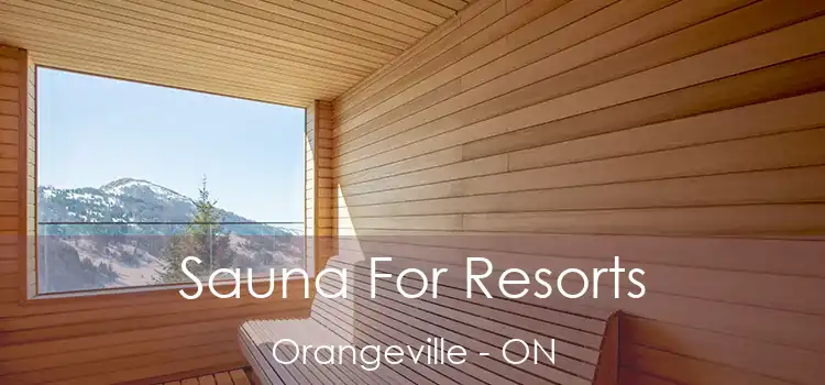  Sauna For Resorts Orangeville - ON