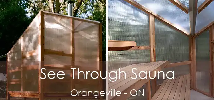  See-Through Sauna Orangeville - ON